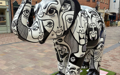 Follow the Trail and Stomp Round Leicester